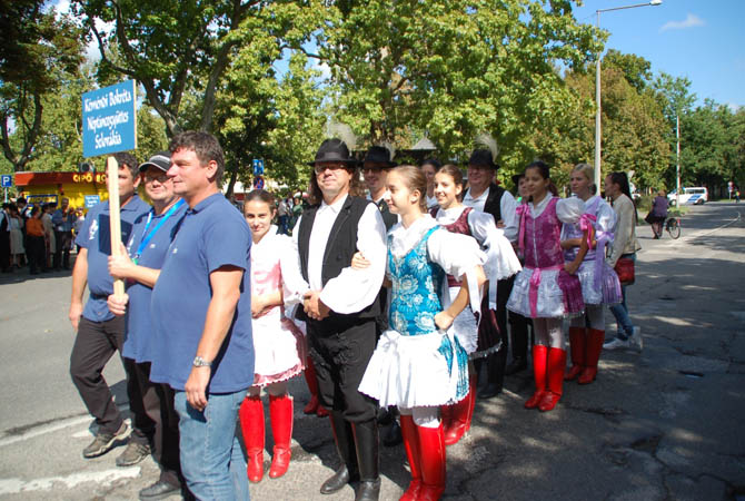 Halasi Szüreti Napok 2015. szeptember 12. 